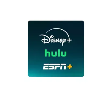 Entertainment services